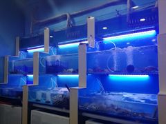 -老虎滩大连海鲜烧烤(建邺云锦路总店)