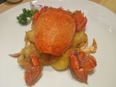 -割烹旭日本料理(龙湖狮山天街店)
