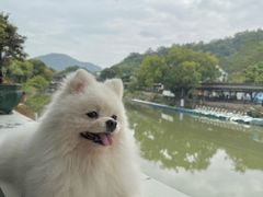 -中山詹园