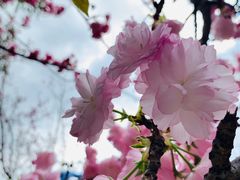 -观澜湖生态运动公社