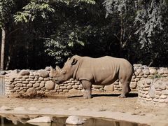 -北京野生动物园