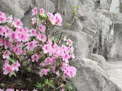-江宁织造博物馆