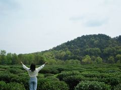 -中国茶叶博物馆(双峰馆区)