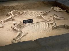 -洛阳周王城天子驾六博物馆