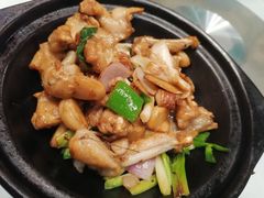 砂锅啫牛蛙-新旺茶餐厅(嘉里城店)