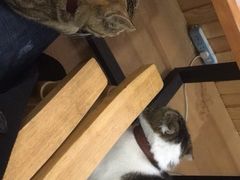 -Summer House夏莫手工坊团建活动(世博源店)