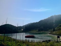 -武陵山森林公园