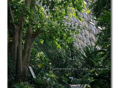 -上海辰山植物园