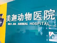 -美迦爱-牙专科·兔科·骨科诊疗中心(北苑店)