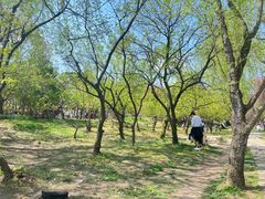 -贵阳市花溪国家城市湿地公园