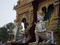 -西双版纳勐泐文化旅游区