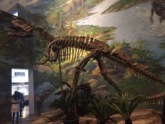 -自贡恐龙博物馆