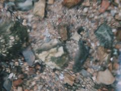 -贵阳市花溪国家城市湿地公园