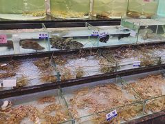 -新海利海鲜城·41年珠海老字号(夏湾店)