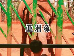-昆明动物园