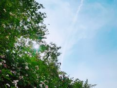 -白鹭湾湿地公园