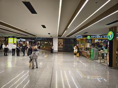 -谢列梅捷沃国际机场