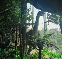 -恐龙探索乐园(磁器口店)