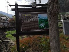 -石台牯牛降景区