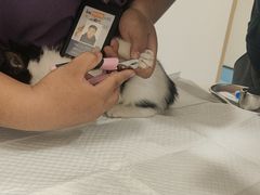 -萌兽医馆·犬猫专科·眼科中心·宠物医院(朝阳门分院)