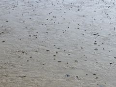 -深圳湾公园(南山区)