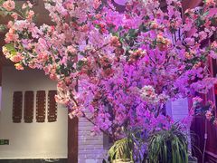 -望京一号(菜户营店)
