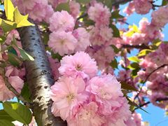 景观位-UNIUNI(凯瑟琳广场店)