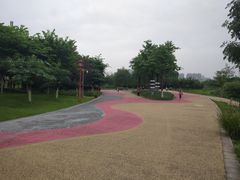 -眉山湿地公园(东坡区)