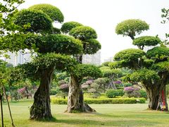 -南宁南湖公园