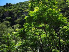 -碓臼峪自然风景区
