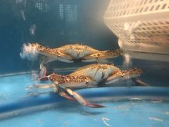 -上海浦东绿地铂骊酒店