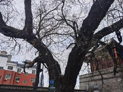 -洛阳周公庙博物馆