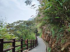 -羚羊峡古栈道森林公园