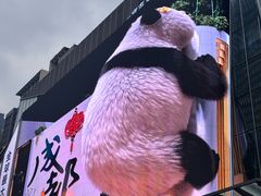 -合景·悠方(成都店)