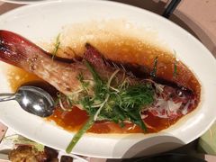 清蒸东星斑-陶陶居海鲜酒家(新马路店)