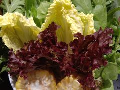 蔬菜拼盘-古铜老院铜锅涮肉·清真(双井店)