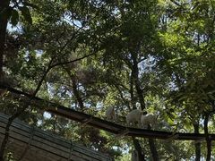 -金石滩蓝莓谷庄园