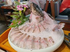 珍珠斑鱼片-禄婶鸡煲·打边炉