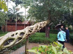 -瑞丽独树成林风景区