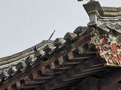 -团结湖公园