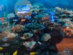 -浙江自然博物院(杭州馆)