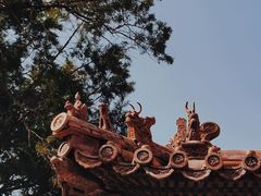 -故宫博物院(故宫)