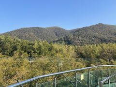 -陶祖圣境风景区