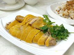 湛江鸡-陈记粤湛鸡饭店