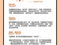 -pd派德宠物中心医院24H急重症·眼科中心·血液透析中心(嵩山北路店)