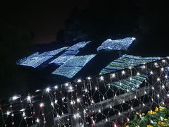 -合肥三国新城遗址公园
