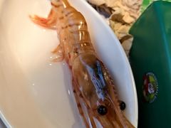 -亚马逊蒸汽活海鲜自助(LCM置汇旭辉广场店)