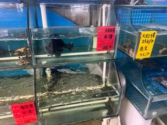 -阿弟特色海鲜餐厅·大排档(平潭店)