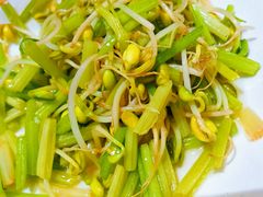 -金海湾海鲜排档(朱家尖店)