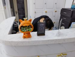 -小齐发型Star·Salon